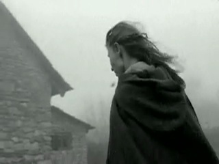 turin horse / a torin i l - 2011