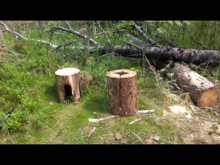 fire forest furniture part one