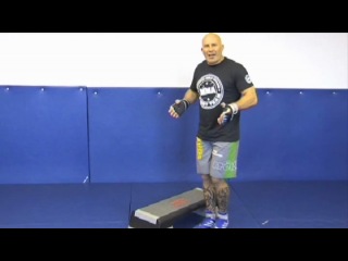mma technique 100. ian freeman - methods of physical training for mixfight.